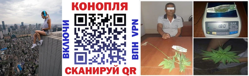 Купить где  Новотроицк  Конопля ГИДРОПОН 